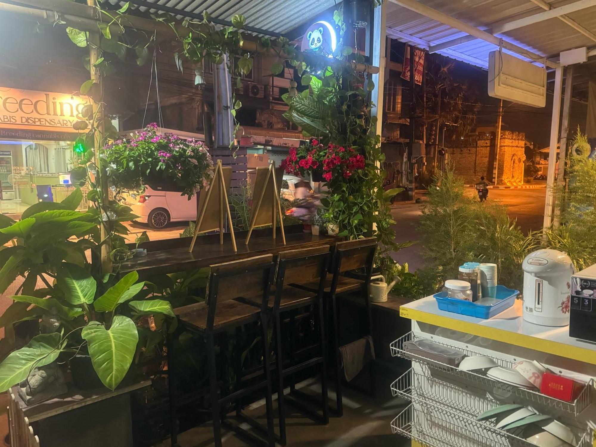 Chiang Mai Panda Hostel מראה חיצוני תמונה