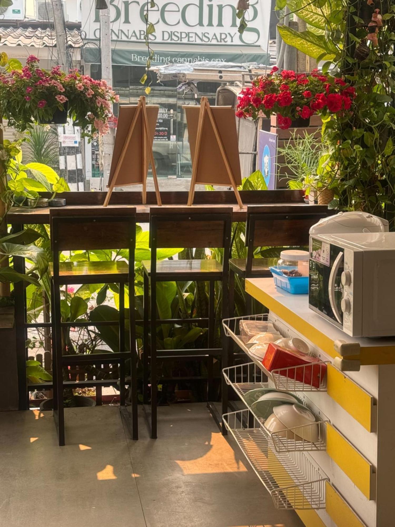 Chiang Mai Panda Hostel מראה חיצוני תמונה