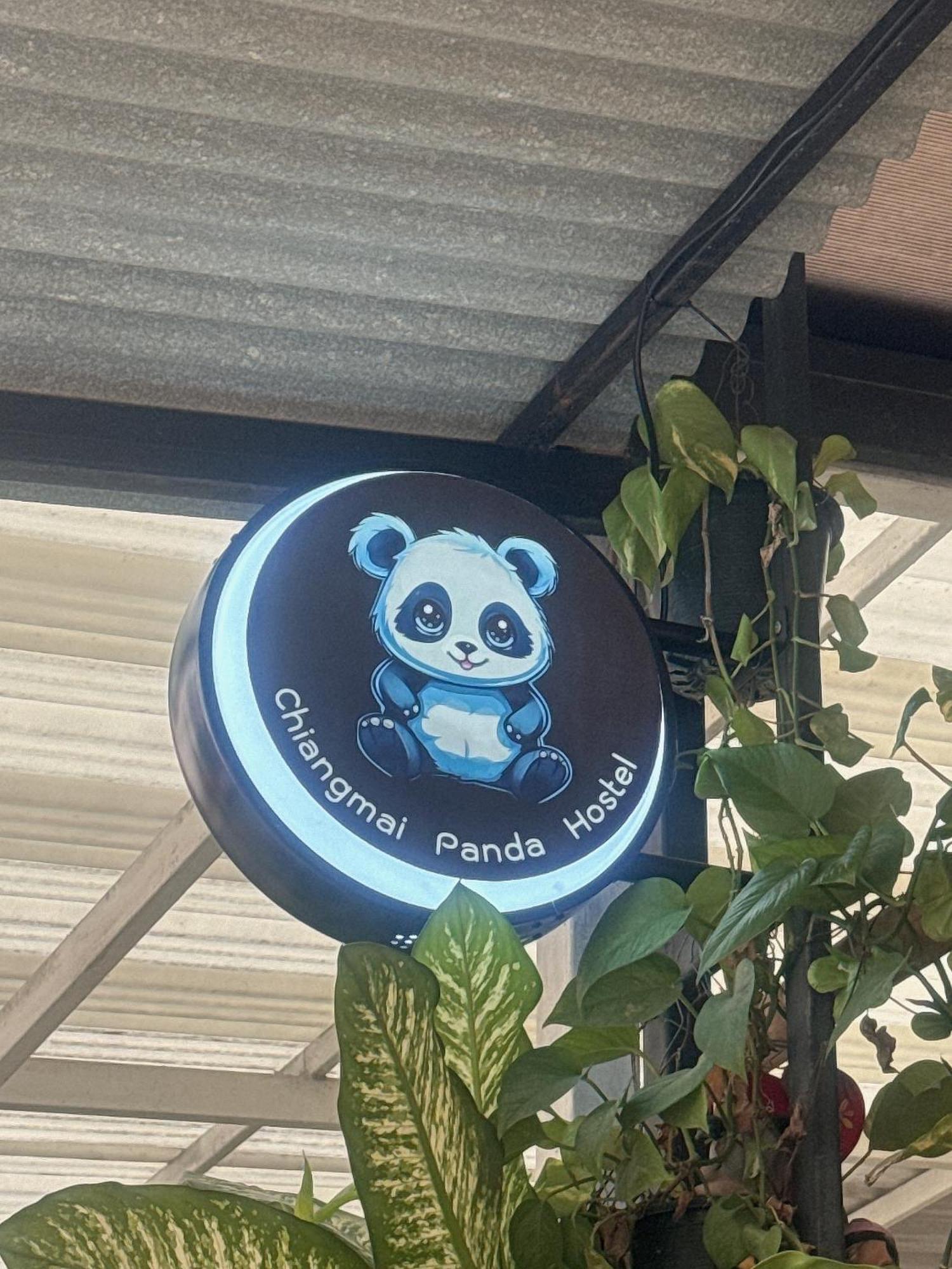 Chiang Mai Panda Hostel מראה חיצוני תמונה