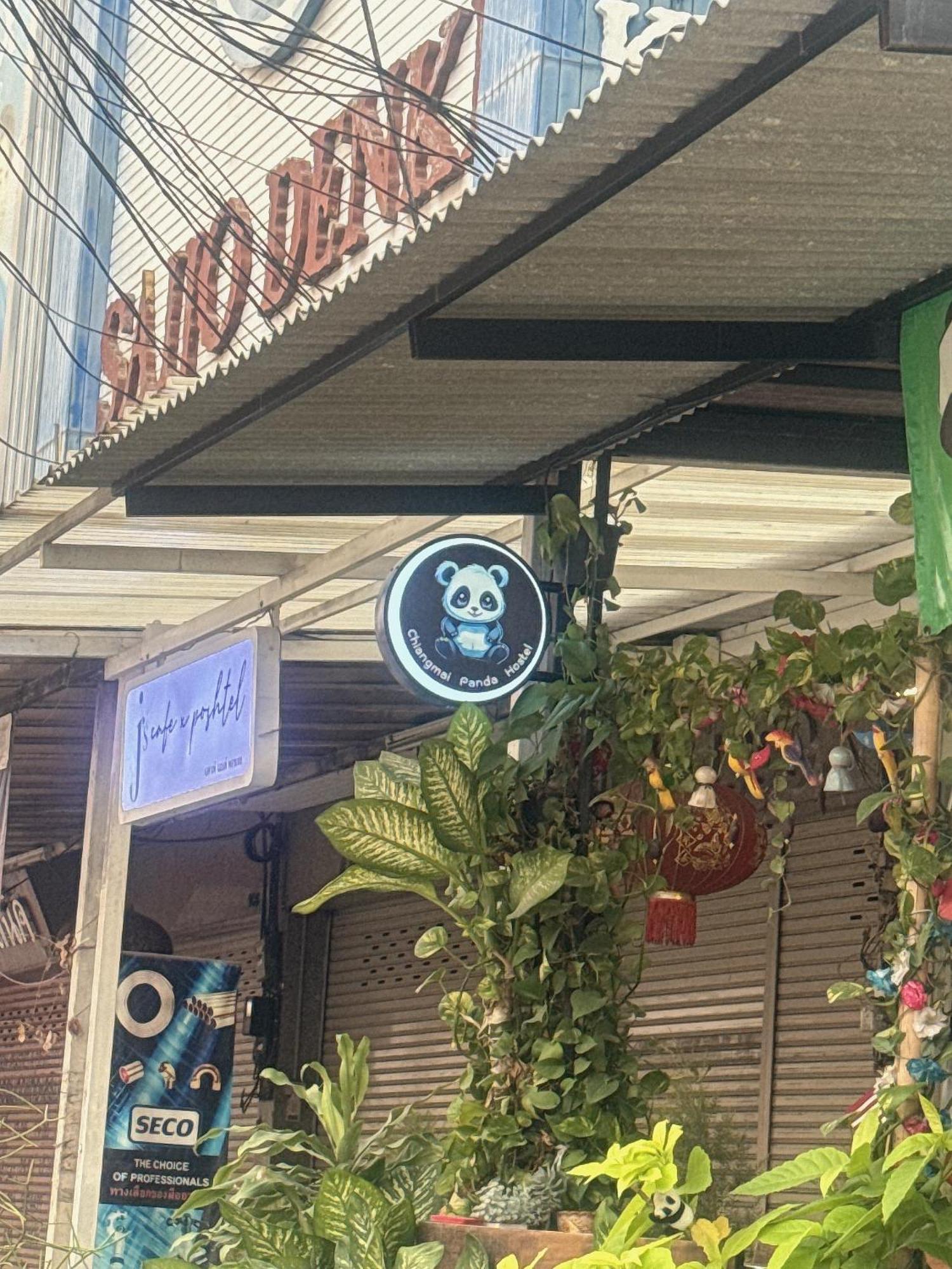 Chiang Mai Panda Hostel מראה חיצוני תמונה