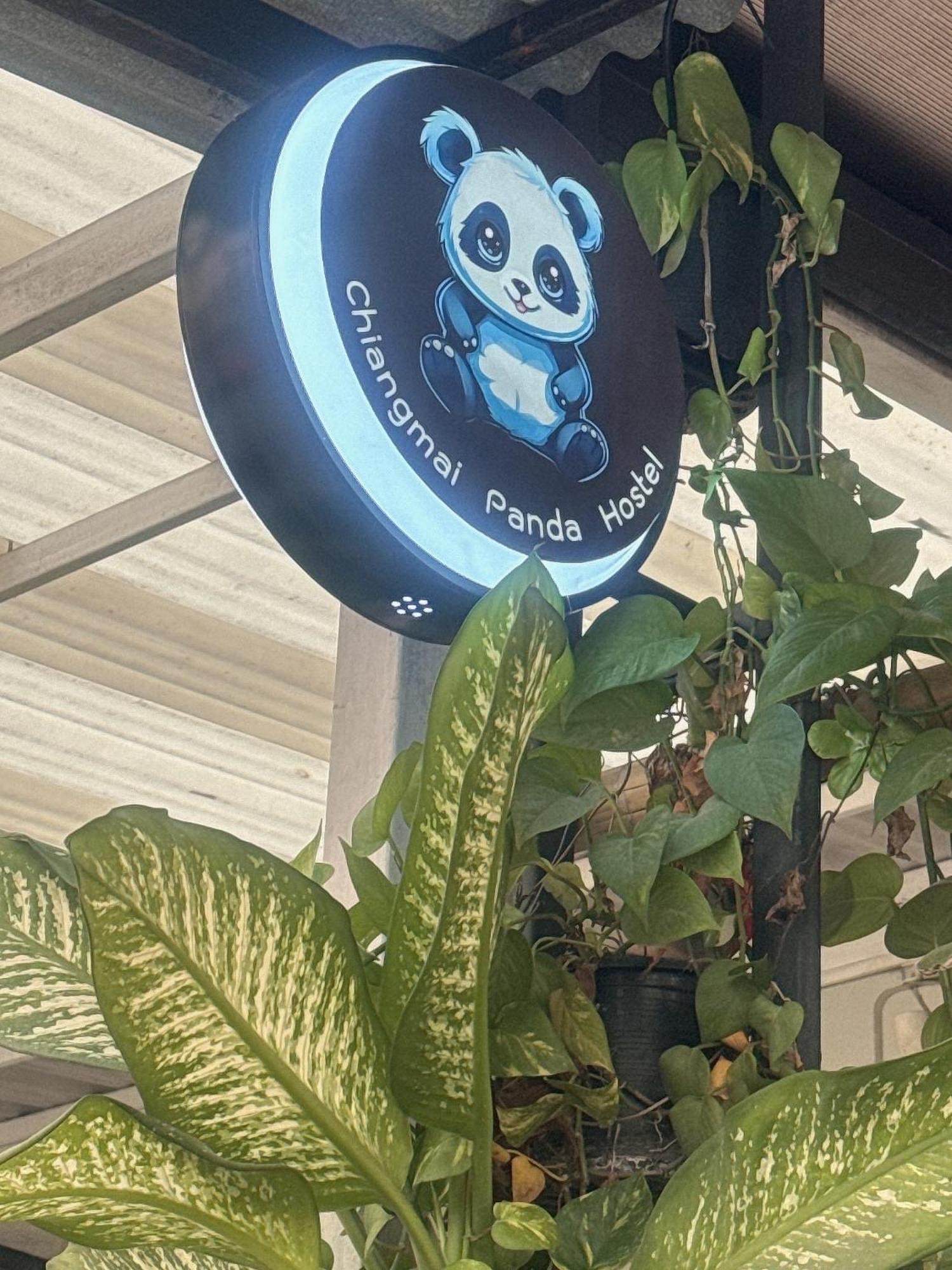 Chiang Mai Panda Hostel מראה חיצוני תמונה